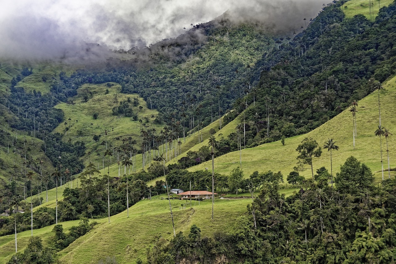colombia 4907636 1280 colombia 4907636 1280