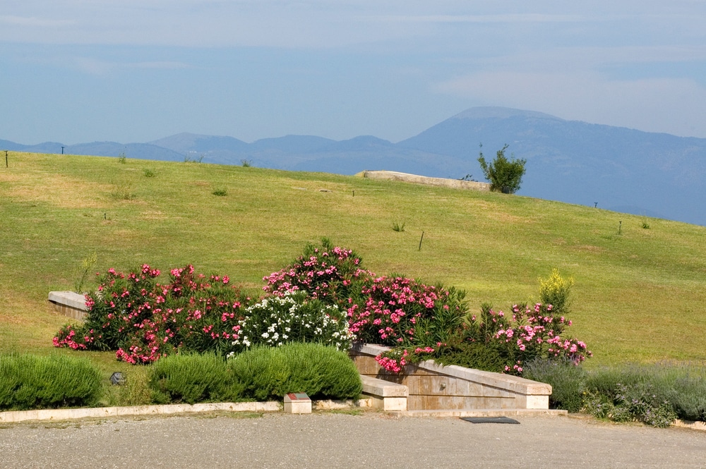 Vergina Royal Tombs Museum